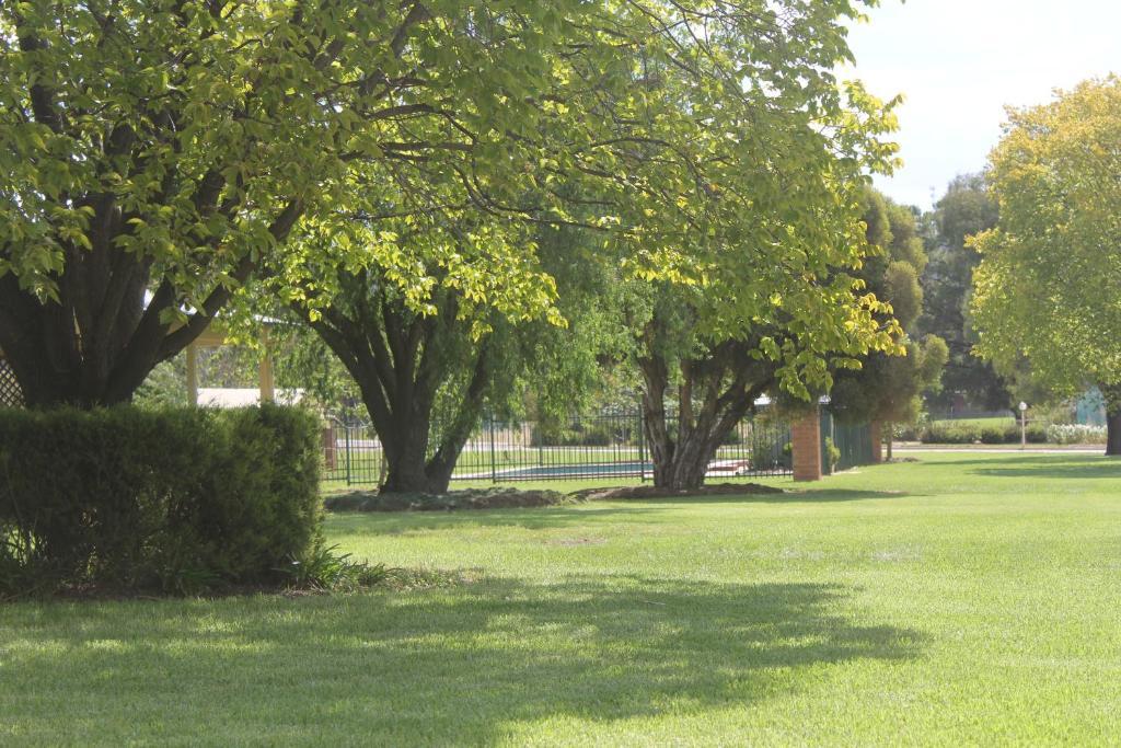 Golfview Motor Inn Wagga Wagga Pokój zdjęcie